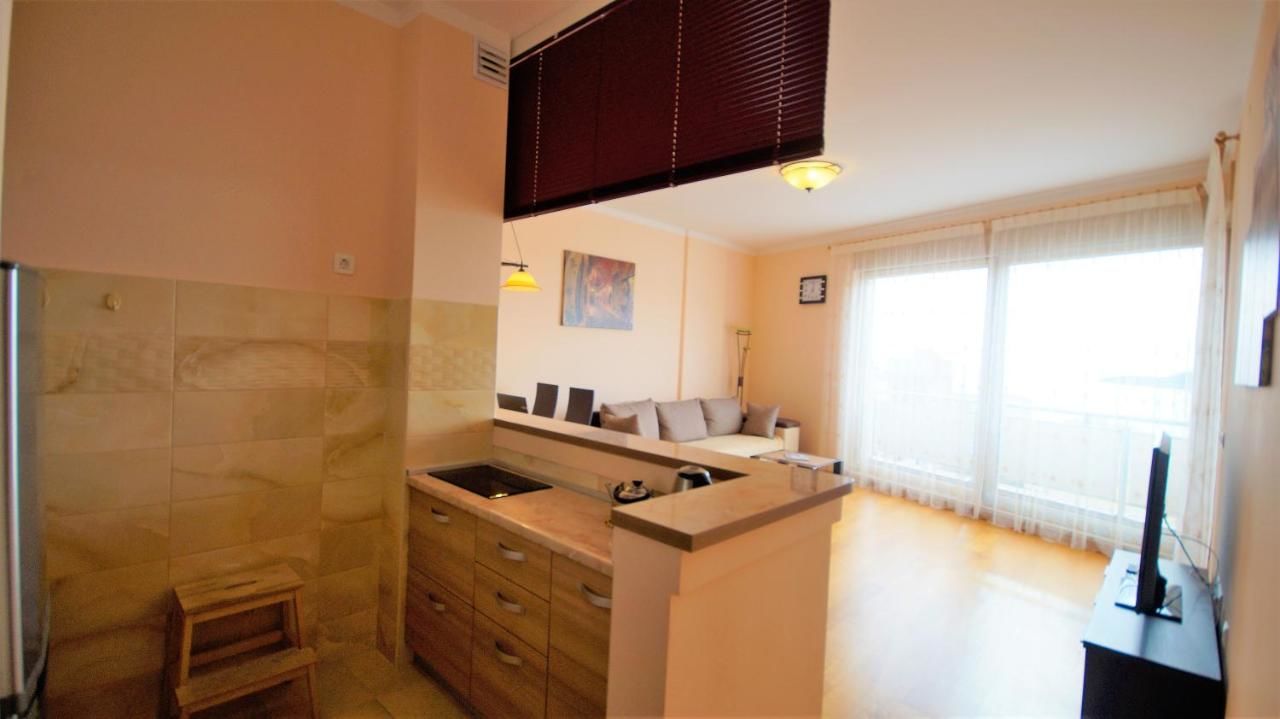 Апартаменты Vladislav Lux apartment Будва-26